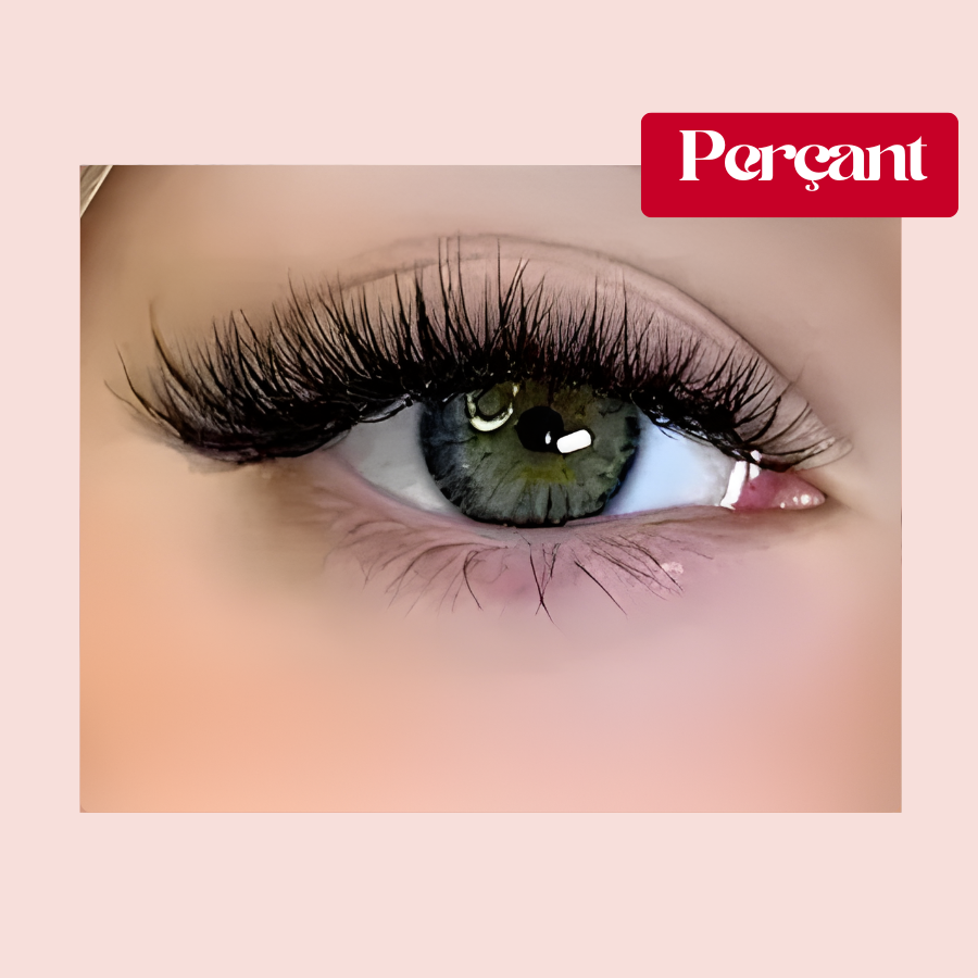 Cils Magnétiques 2.0